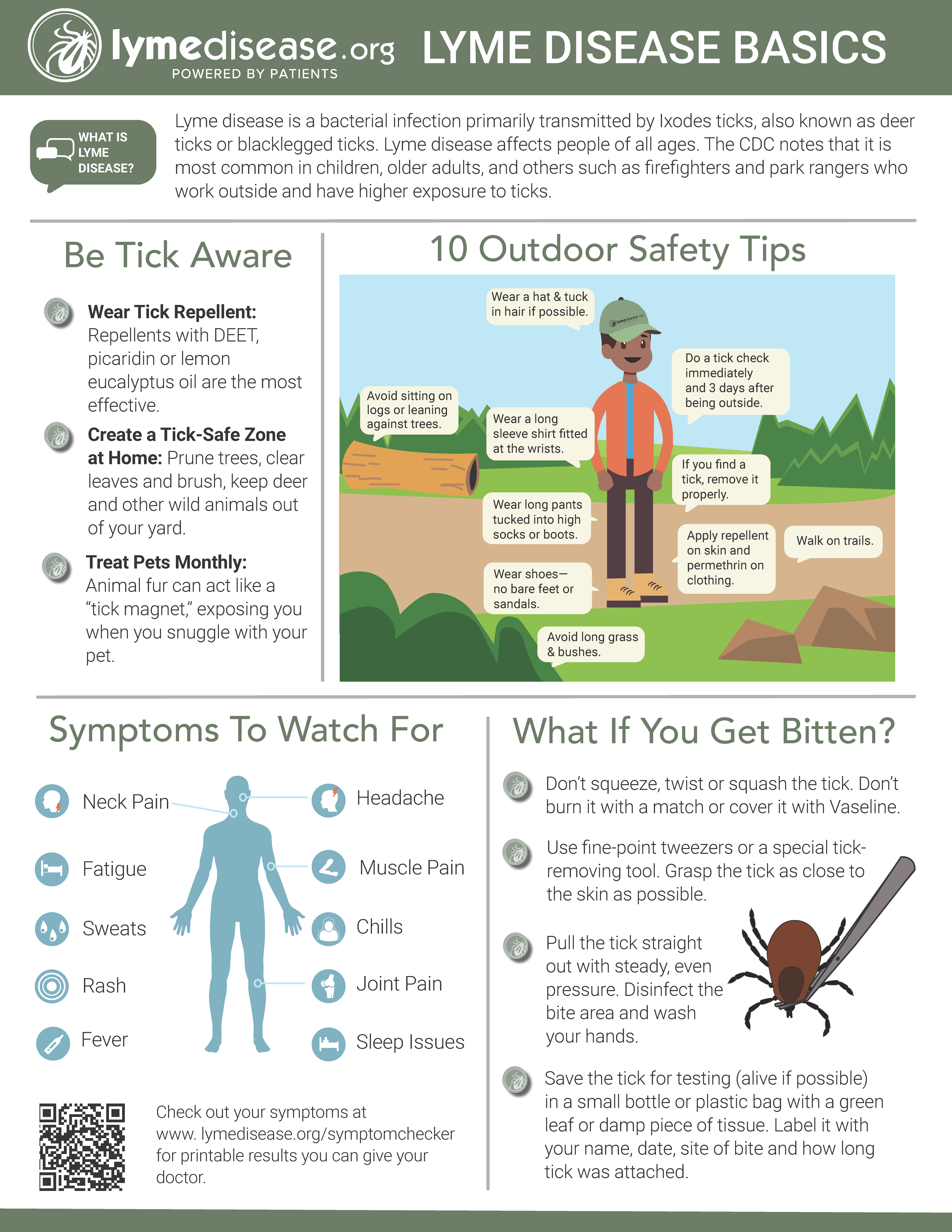 Lyme Disease Basics