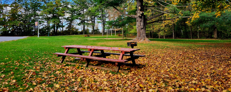 Picnic_Area_1.jpg