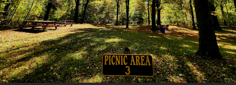 Picnic_Area_3.jpg